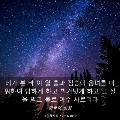 Picture 03 - 요한계시록 17:16 KOR - 네가 본 바 이 열 뿔과 짐승이 음녀를 - Bible Verse Picture