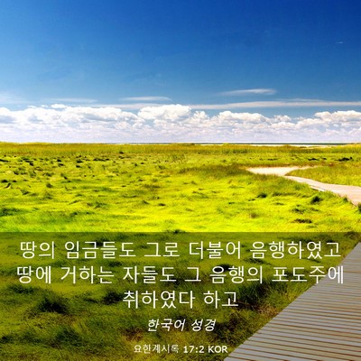 Picture 03 - 요한계시록 17:2 KOR - 땅의 임금들도 그로 더불어 - Bible Verse Picture