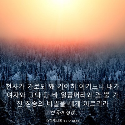 Picture 03 - 요한계시록 17:7 KOR - 천사가 가로되 왜 기이히 여기느냐 - Bible Verse Picture