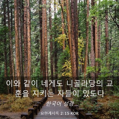 Picture 03 - 요한계시록 2:15 KOR - 이와 같이 네게도 니골라당의 교훈을 - Bible Verse Picture