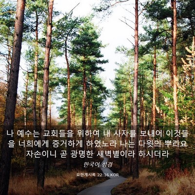 Picture 03 - 요한계시록 22:16 KOR - 나 예수는 교회들을 위하여 내 - Bible Verse Picture