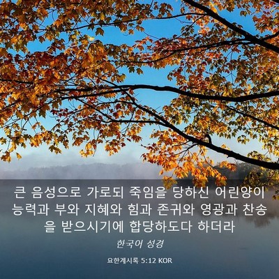 Picture 03 - 요한계시록 5:12 KOR - 큰 음성으로 가로되 죽임을 당하신 - Bible Verse Picture