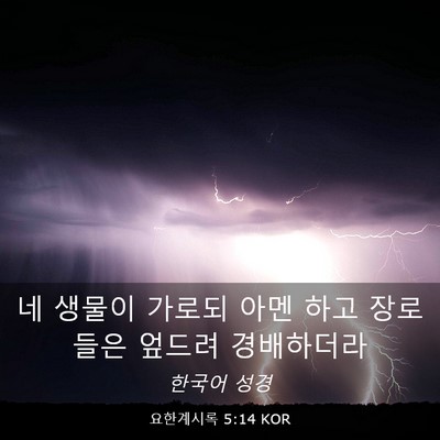 Picture 03 - 요한계시록 5:14 KOR - 네 생물이 가로되 아멘 하고 - Bible Verse Picture
