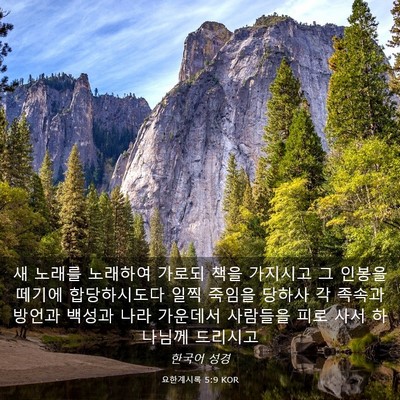 Picture 03 - 요한계시록 5:9 KOR - 새 노래를 노래하여 가로되 책을 - Bible Verse Picture