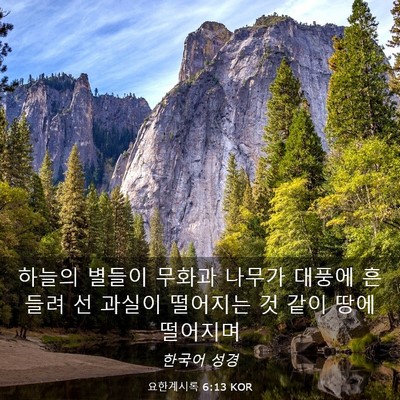Picture 03 - 요한계시록 6:13 KOR - 하늘의 별들이 무화과 나무가 대풍에 - Bible Verse Picture