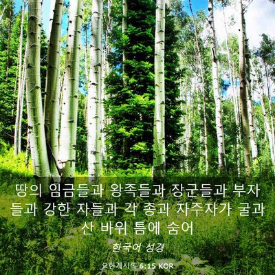 Picture 03 - 요한계시록 6:15 KOR - 땅의 임금들과 왕족들과 장군들과 - Bible Verse Picture