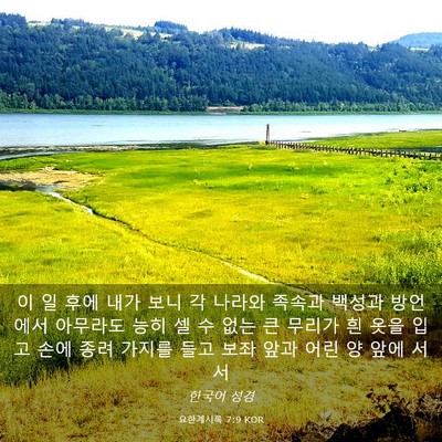 Picture 03 - 요한계시록 7:9 KOR - 이 일 후에 내가 보니 각 나라와 - Bible Verse Picture