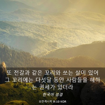 Picture 03 - 요한계시록 9:10 KOR - 또 전갈과 같은 꼬리와 쏘는 살이 - Bible Verse Picture