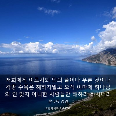 Picture 03 - 요한계시록 9:4 KOR - 저희에게 이르시되 땅의 풀이나 푸른 - Bible Verse Picture
