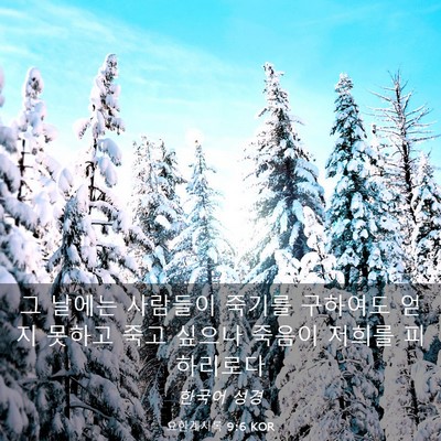 Picture 03 - 요한계시록 9:6 KOR - 그 날에는 사람들이 죽기를 구하여도 - Bible Verse Picture