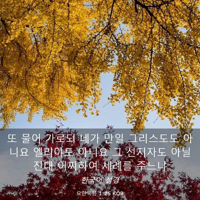 Picture 03 - 요한복음 1:25 KOR - 또 물어 가로되 네가 만일 - Bible Verse Picture