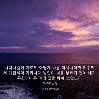 Picture 03 - 요한복음 1:48 KOR - 나다나엘이 가로되 어떻게 나를 - Bible Verse Picture