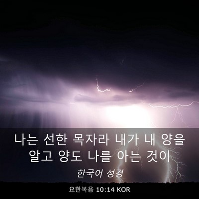 Picture 03 - 요한복음 10:14 KOR - 나는 선한 목자라 내가 내 양을 알고 - Bible Verse Picture
