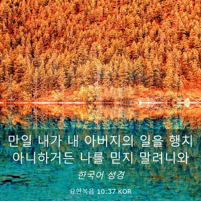 Picture 03 - 요한복음 10:37 KOR - 만일 내가 내 아버지의 일을 행치 - Bible Verse Picture