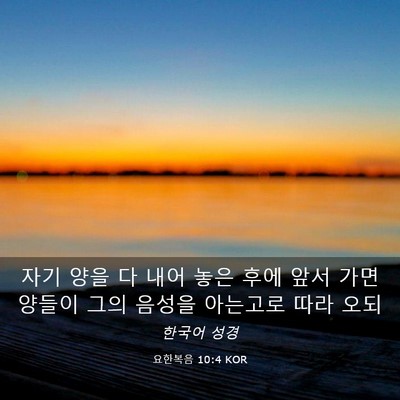 Picture 03 - 요한복음 10:4 KOR - 자기 양을 다 내어 놓은 후에 앞서 - Bible Verse Picture