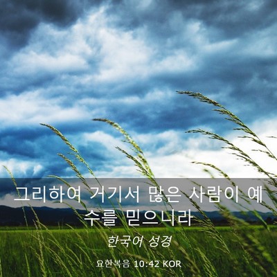 Picture 03 - 요한복음 10:42 KOR - 그리하여 거기서 많은 사람이 예수를 - Bible Verse Picture