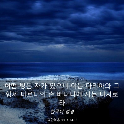 Picture 03 - 요한복음 11:1 KOR - 어떤 병든 자가 있으니 이는 - Bible Verse Picture