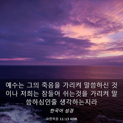 Picture 03 - 요한복음 11:13 KOR - 예수는 그의 죽음을 가리켜 말씀하신 - Bible Verse Picture