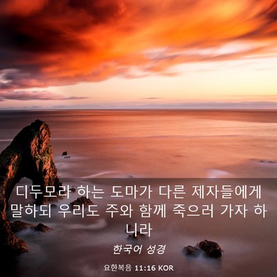Picture 03 - 요한복음 11:16 KOR - 디두모라 하는 도마가 다른 - Bible Verse Picture
