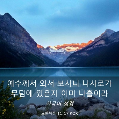 Picture 03 - 요한복음 11:17 KOR - 예수께서 와서 보시니 나사로가 - Bible Verse Picture