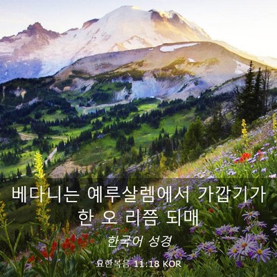 Picture 03 - 요한복음 11:18 KOR - 베다니는 예루살렘에서 가깝기가 한 - Bible Verse Picture