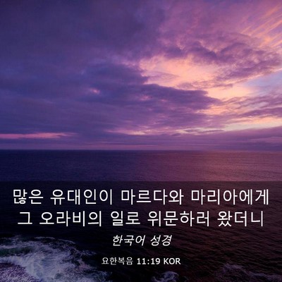 Picture 03 - 요한복음 11:19 KOR - 많은 유대인이 마르다와 마리아에게 - Bible Verse Picture