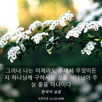 Picture 03 - 요한복음 11:22 KOR - 그러나 나는 이제라도 주께서 - Bible Verse Picture