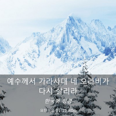 Picture 03 - 요한복음 11:23 KOR - 예수께서 가라사대 네 오라비가 다시 - Bible Verse Picture