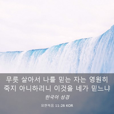 Picture 03 - 요한복음 11:26 KOR - 무릇 살아서 나를 믿는 자는 영원히 - Bible Verse Picture