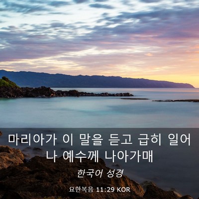 Picture 03 - 요한복음 11:29 KOR - 마리아가 이 말을 듣고 급히 일어나 - Bible Verse Picture