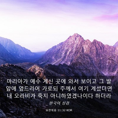 Picture 03 - 요한복음 11:32 KOR - 마리아가 예수 계신 곳에 와서 - Bible Verse Picture