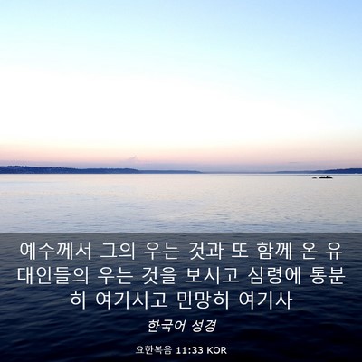 Picture 03 - 요한복음 11:33 KOR - 예수께서 그의 우는 것과 또 함께 온 - Bible Verse Picture