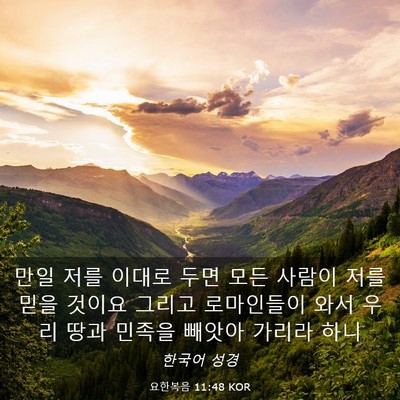 Picture 03 - 요한복음 11:48 KOR - 만일 저를 이대로 두면 모든 사람이 - Bible Verse Picture