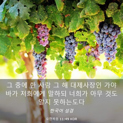 Picture 03 - 요한복음 11:49 KOR - 그 중에 한 사람 그 해 대제사장인 - Bible Verse Picture