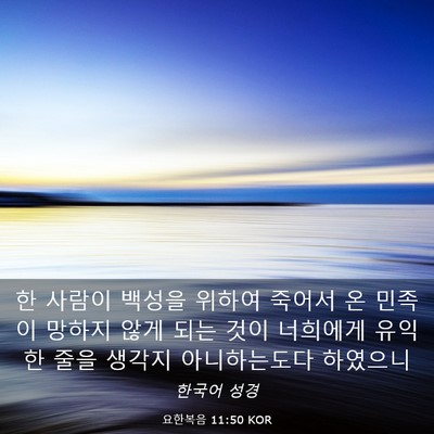 Picture 03 - 요한복음 11:50 KOR - 한 사람이 백성을 위하여 죽어서 온 - Bible Verse Picture