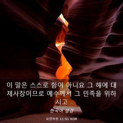 Picture 03 - 요한복음 11:51 KOR - 이 말은 스스로 함이 아니요 그 해에 - Bible Verse Picture