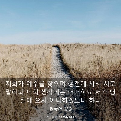 Picture 03 - 요한복음 11:56 KOR - 저희가 예수를 찾으며 성전에 서서 - Bible Verse Picture