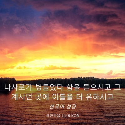 Picture 03 - 요한복음 11:6 KOR - 나사로가 병들었다 함을 들으시고 그 - Bible Verse Picture