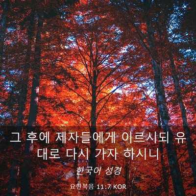 Picture 03 - 요한복음 11:7 KOR - 그 후에 제자들에게 이르시되 유대로 - Bible Verse Picture