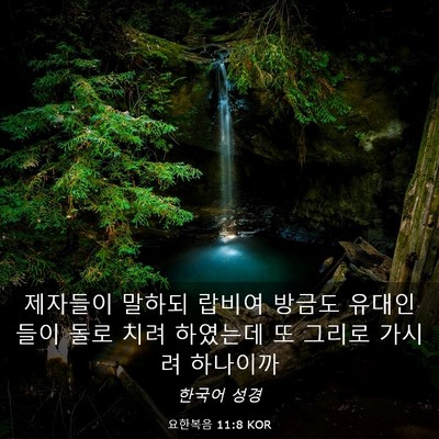 Picture 03 - 요한복음 11:8 KOR - 제자들이 말하되 랍비여 방금도 - Bible Verse Picture