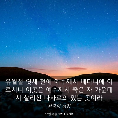 Picture 03 - 요한복음 12:1 KOR - 유월절 엿새 전에 예수께서 베다니에 - Bible Verse Picture