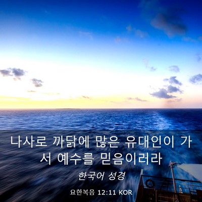 Picture 03 - 요한복음 12:11 KOR - 나사로 까닭에 많은 유대인이 가서 - Bible Verse Picture