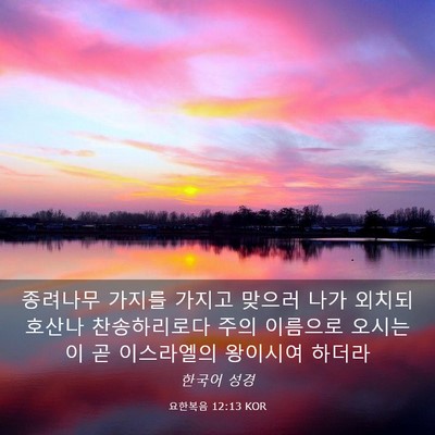 Picture 03 - 요한복음 12:13 KOR - 종려나무 가지를 가지고 맞으러 나가 - Bible Verse Picture