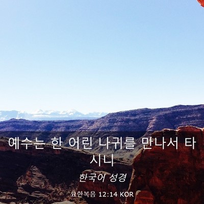 Picture 03 - 요한복음 12:14 KOR - 예수는 한 어린 나귀를 만나서 - Bible Verse Picture