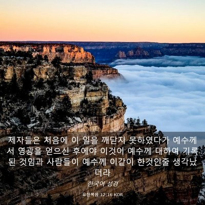 Picture 03 - 요한복음 12:16 KOR - 제자들은 처음에 이 일을 깨닫지 - Bible Verse Picture