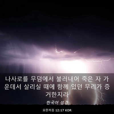 Picture 03 - 요한복음 12:17 KOR - 나사로를 무덤에서 불러내어 죽은 자 - Bible Verse Picture
