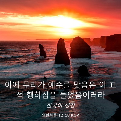 Picture 03 - 요한복음 12:18 KOR - 이에 무리가 예수를 맞음은 이 표적 - Bible Verse Picture