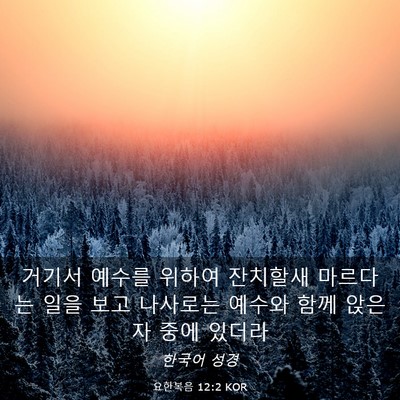 Picture 03 - 요한복음 12:2 KOR - 거기서 예수를 위하여 잔치할새 - Bible Verse Picture