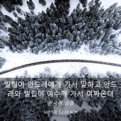 Picture 03 - 요한복음 12:22 KOR - 빌립이 안드레에게 가서 말하고 - Bible Verse Picture