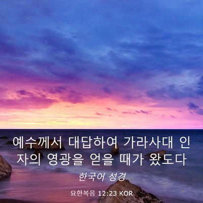 Picture 03 - 요한복음 12:23 KOR - 예수께서 대답하여 가라사대 인자의 - Bible Verse Picture